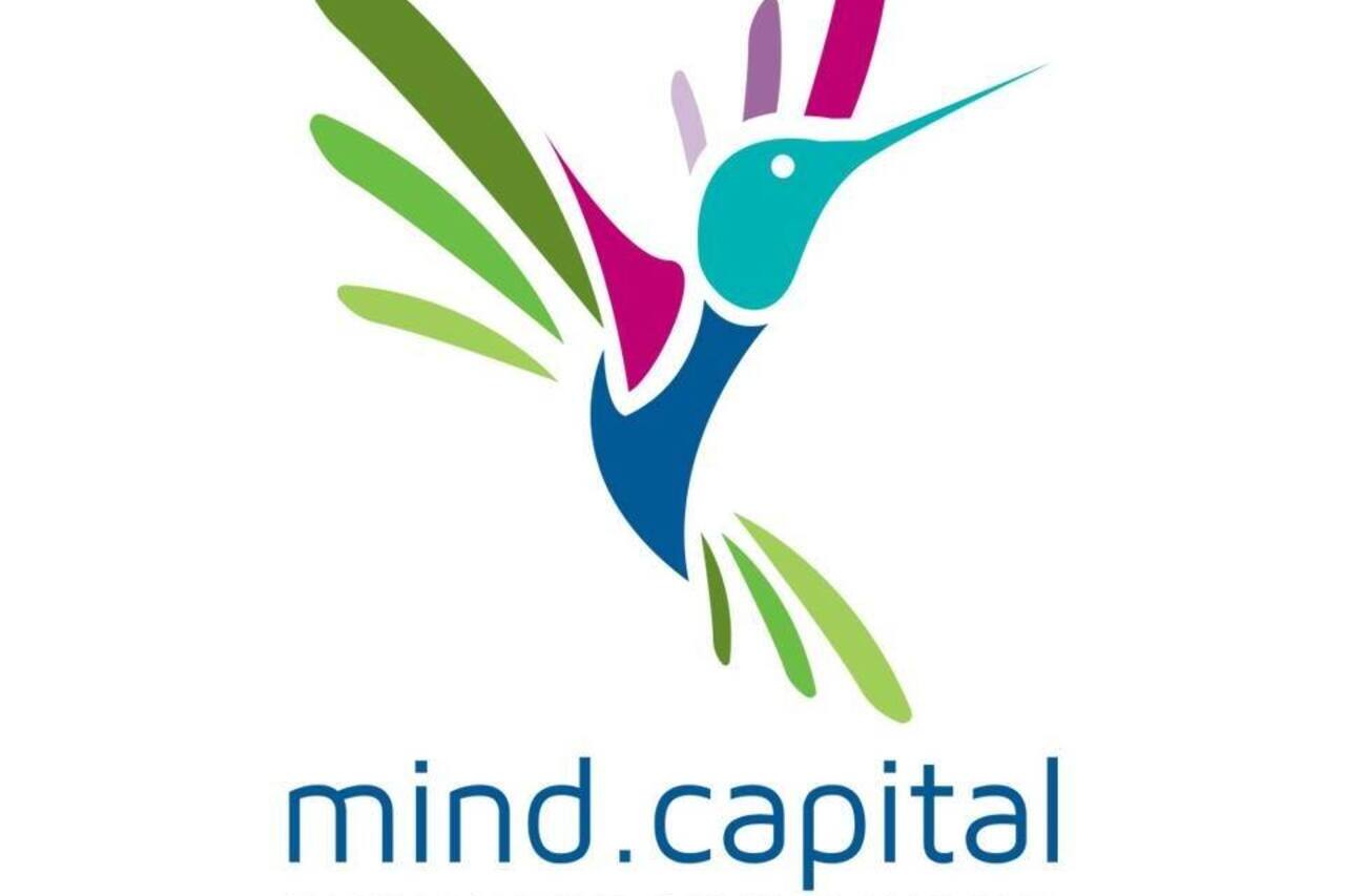 MindCapital: plataforma de alto rendimiento al alcance de todos