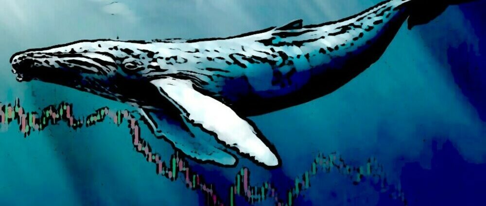 Dos ballenas retiraron $1.000 millones en Bitcoin desde Coinbase