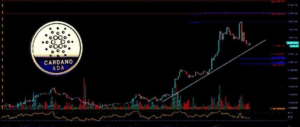 Cardano repunta un 20% en un día de negociación alcista