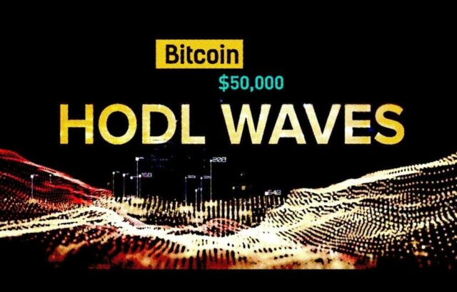 El bitcoin encuentra soporte en 50.000 dólares; el “hodl” a largo plazo, intacto