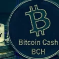 ¿Qué es Bitcoin Cash?. Guía para principiantes de BCH