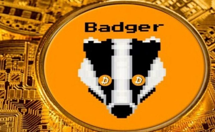 ¿Qué es Badger DAO?. Guía para principiantes de BADGER