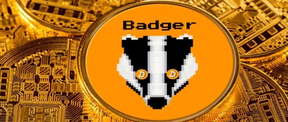 ¿Qué es Badger DAO?. Guía para principiantes de BADGER