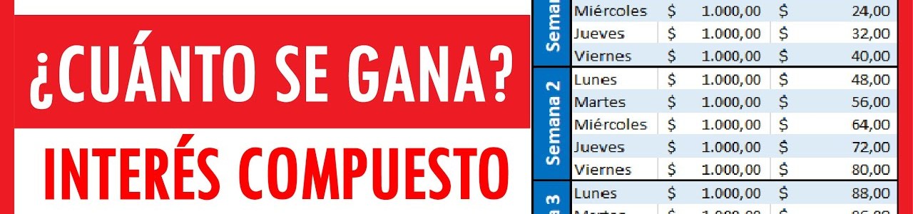 MindCapital: plataforma de alto rendimiento al alcance de todos